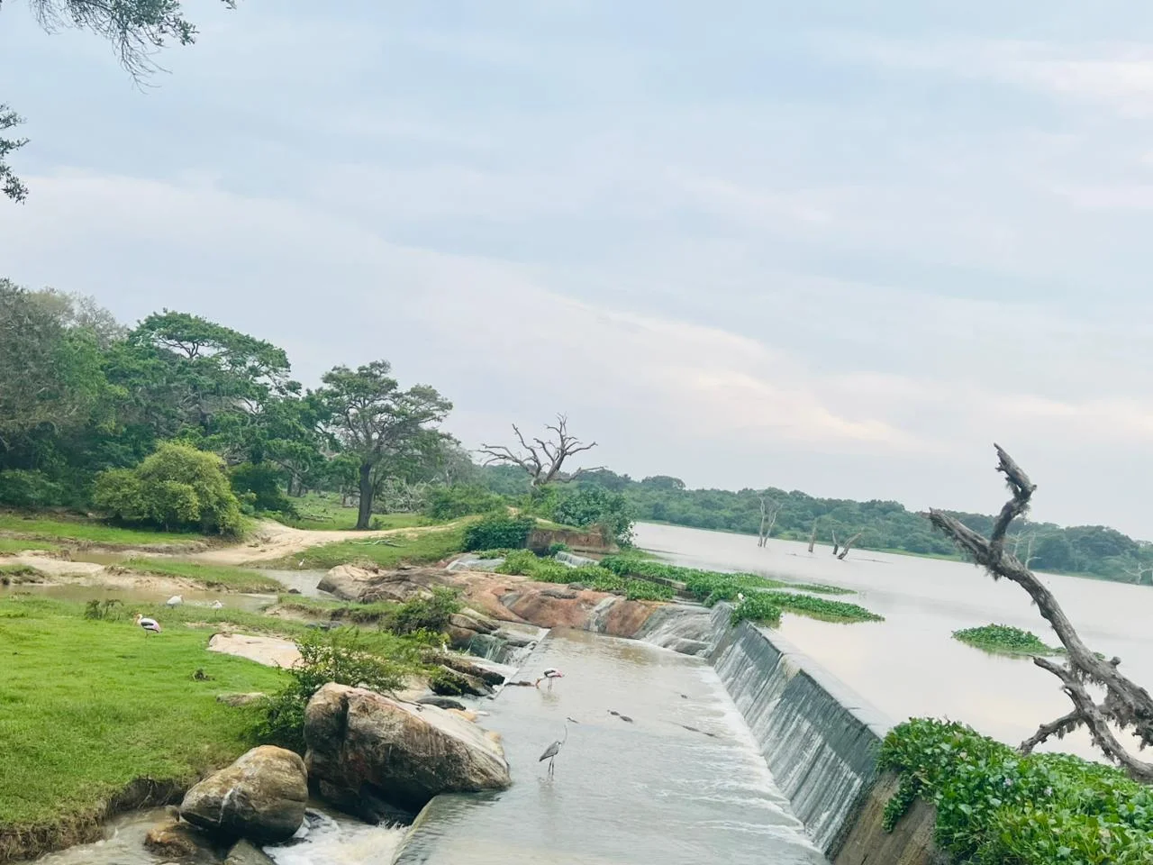 Safari & Wildlife — image 5