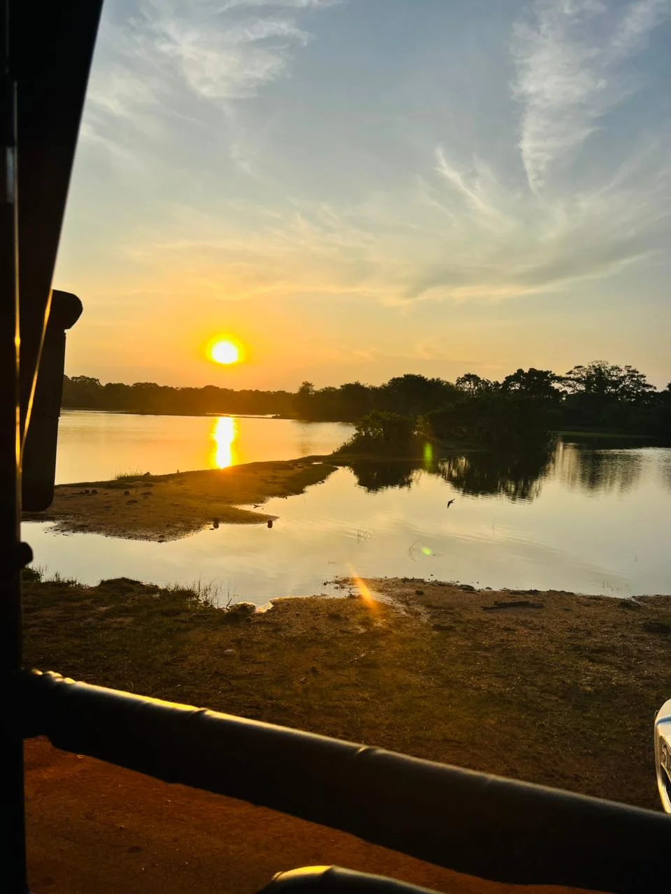 Safari & Wildlife — image 7