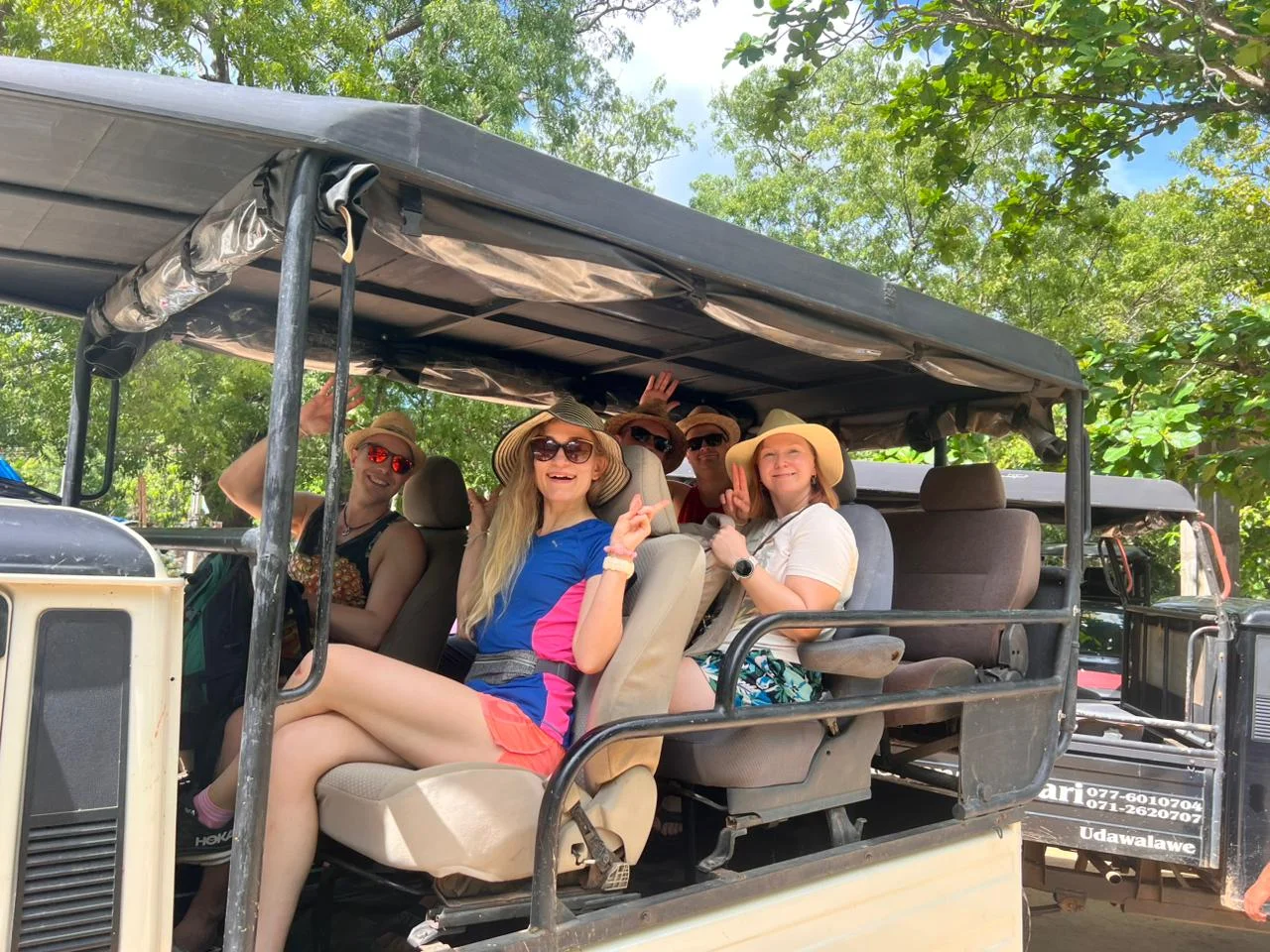 Safari & Wildlife — image 8