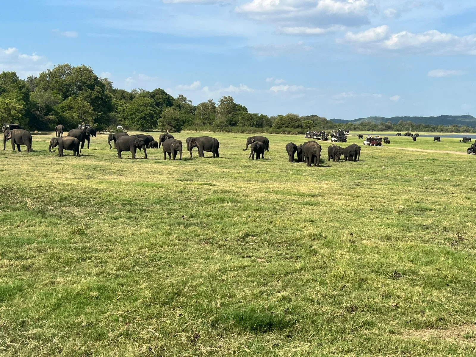 Safari & Wildlife — image 11