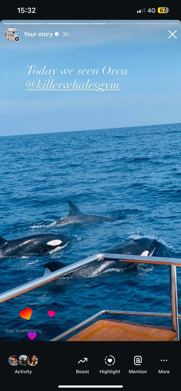 Whale watching — image 3
