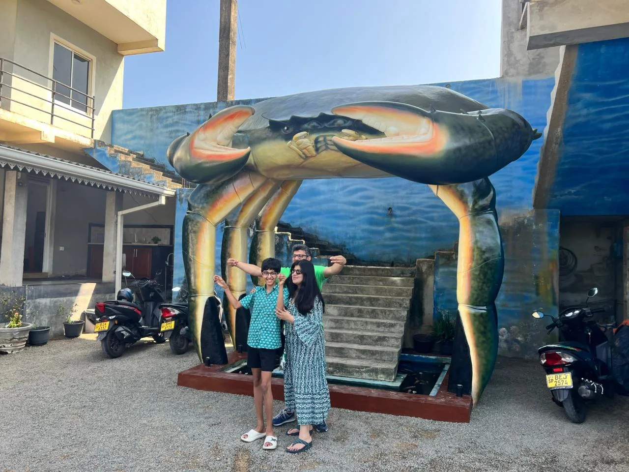 Whale watching — image 12