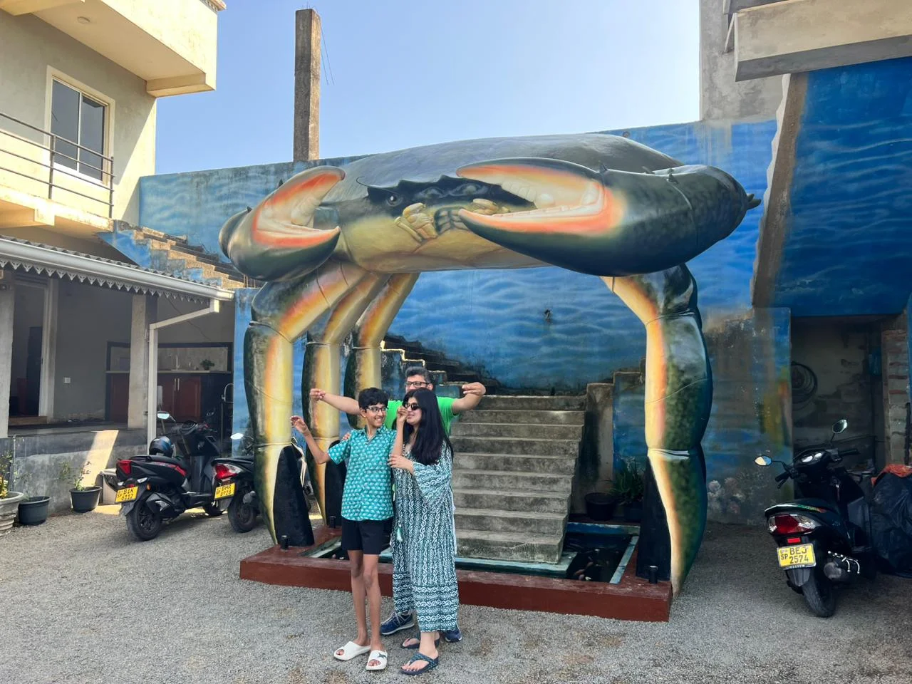 Whale watching — image 13