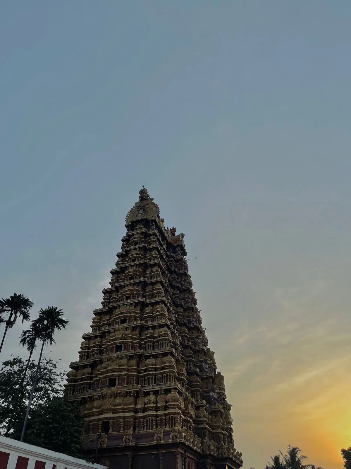 Cultural Immersions — image 7