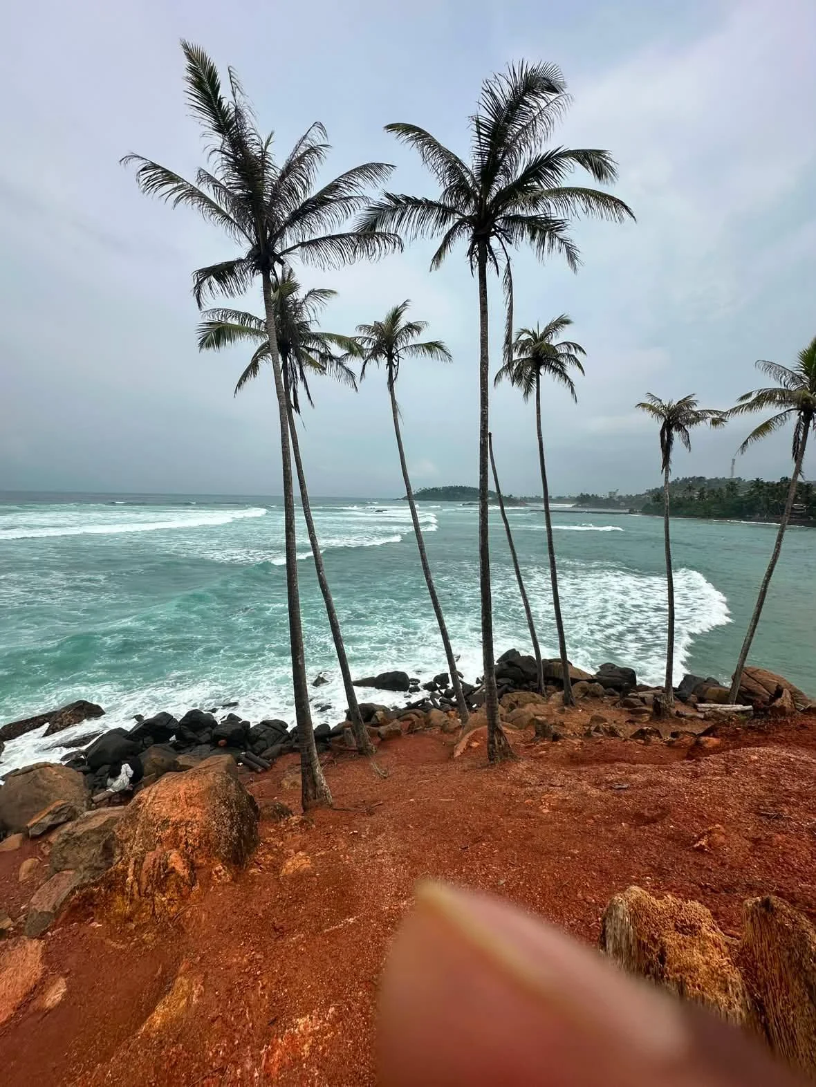 Scenic Tours — image 4