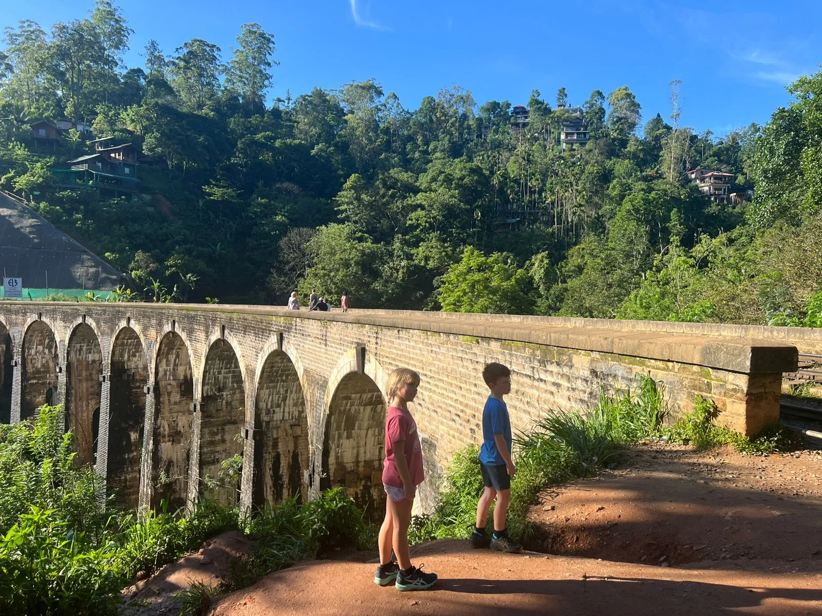 Scenic Tours — image 10