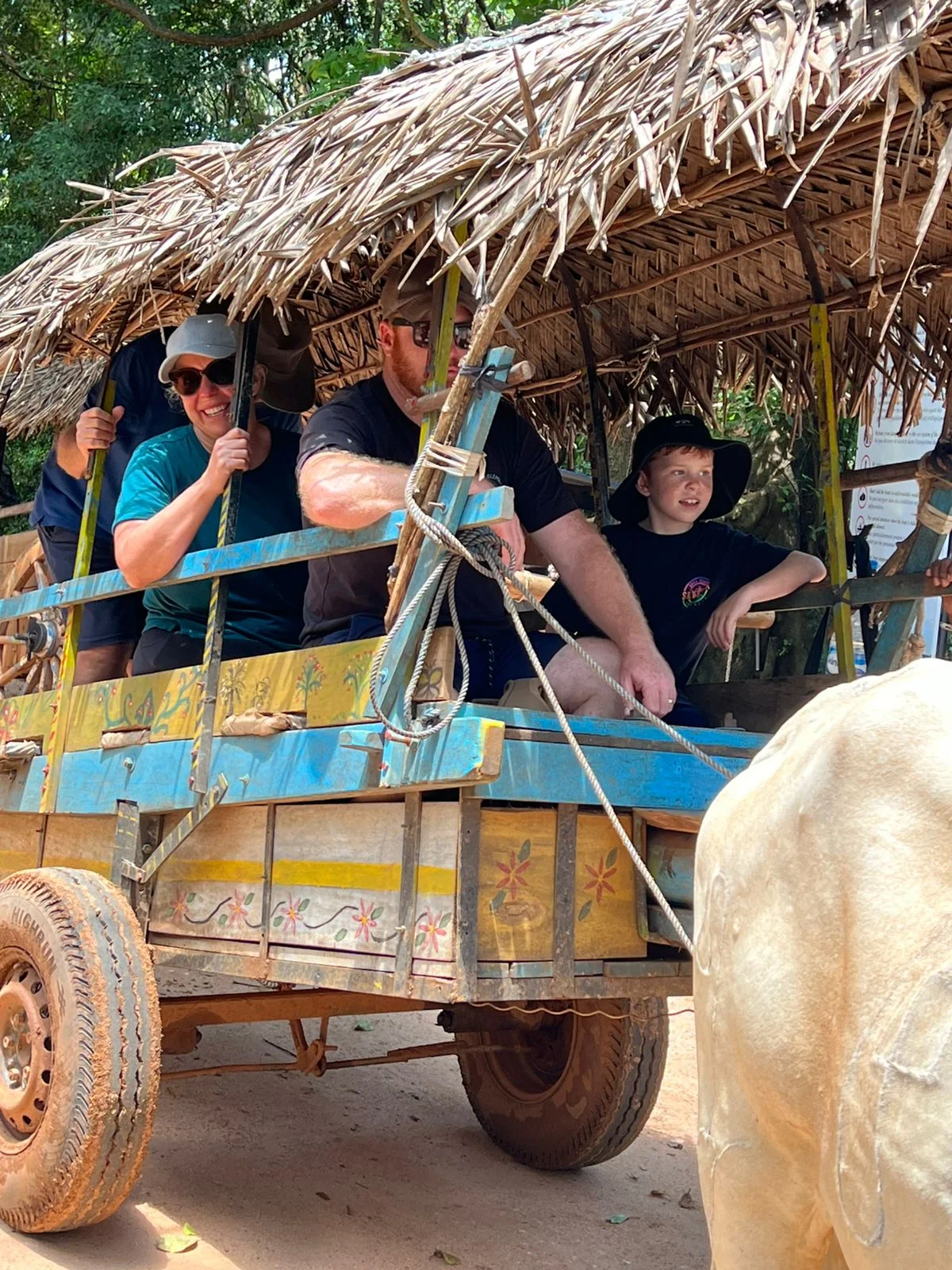 Scenic Tours — image 13