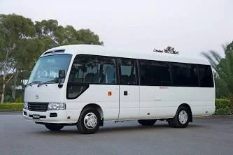 Bus